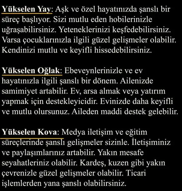 ven koç5 (9).webp