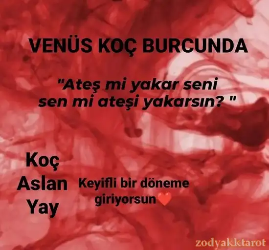 ven koç8.webp