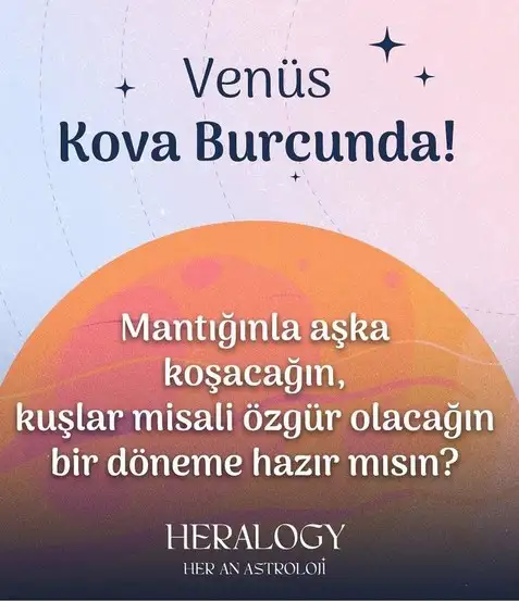 ven kov0 (1).webp