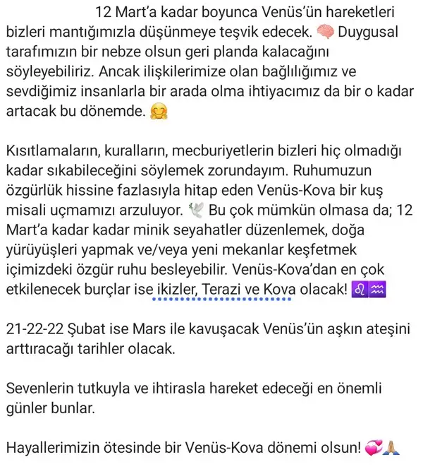 ven kov0 (2).webp