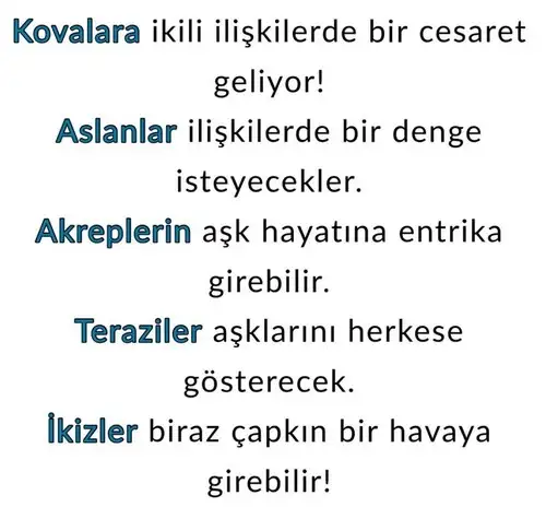 ven kov3 (1).webp