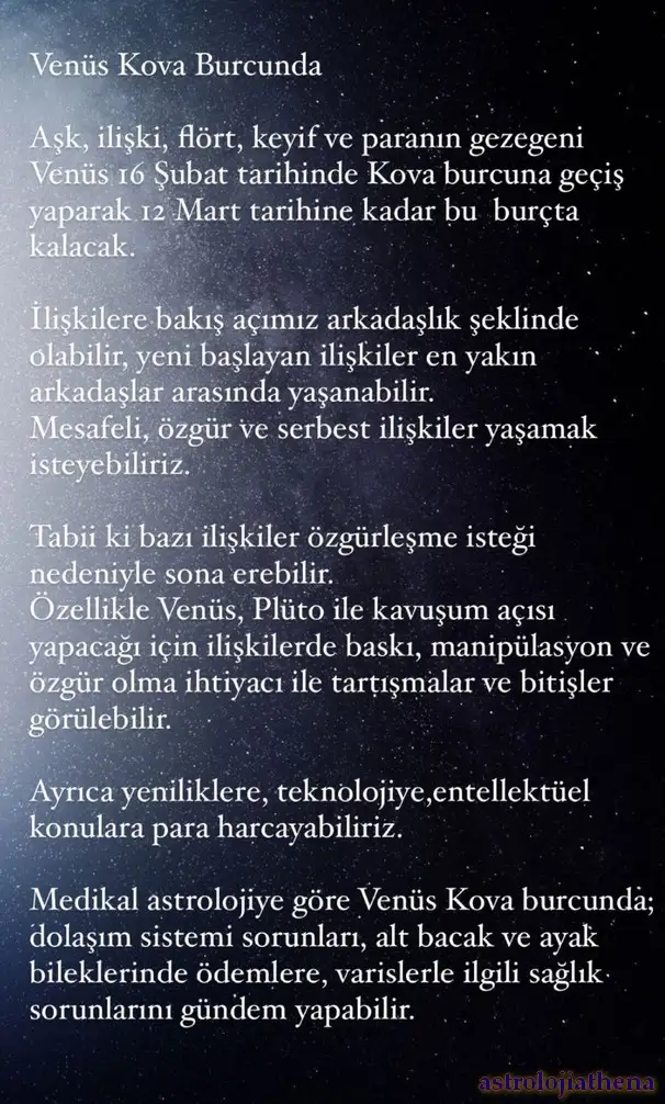 ven kov4 (1).webp