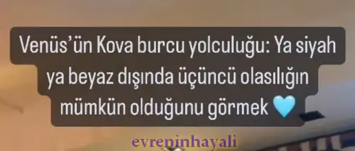 ven kov9.webp