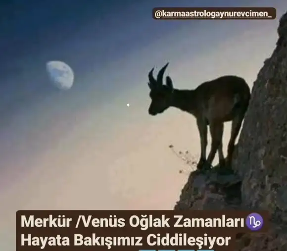 ven mer oğlak2 (1).webp