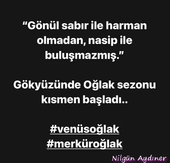 ven mer oğlak4.webp