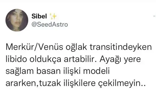 ven mer oğlak7.webp
