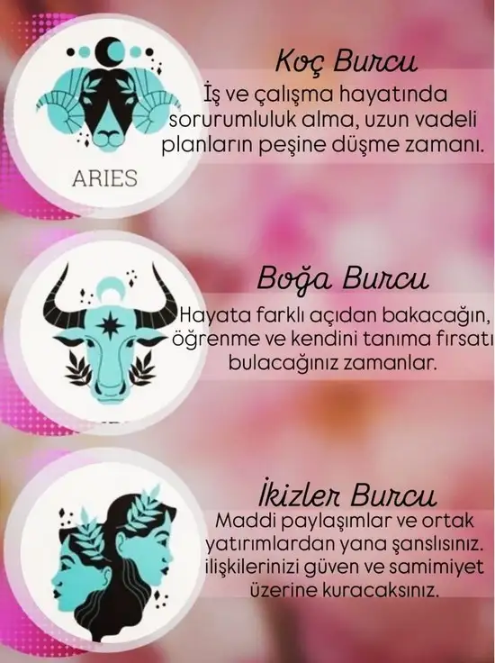ven oğl31 (2).webp