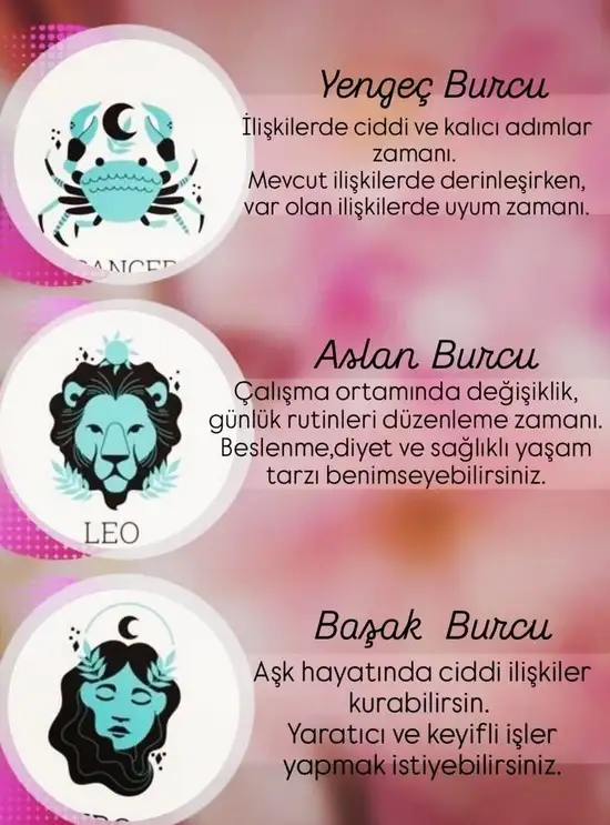 ven oğl31 (3).webp