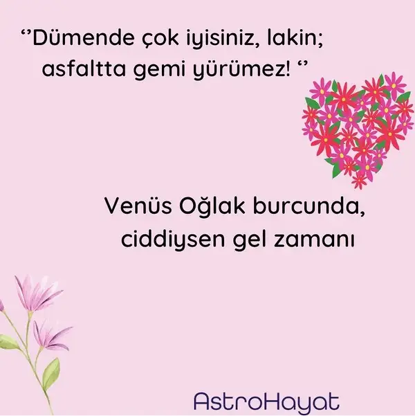 ven oğlak5 (4).webp