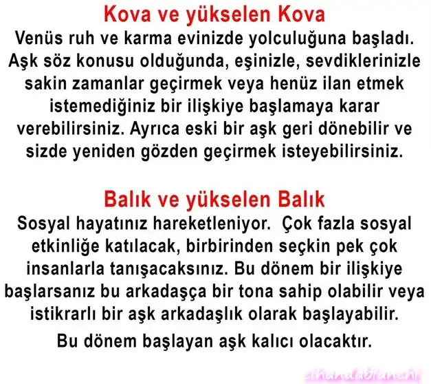 ven oğlak7 (6).webp