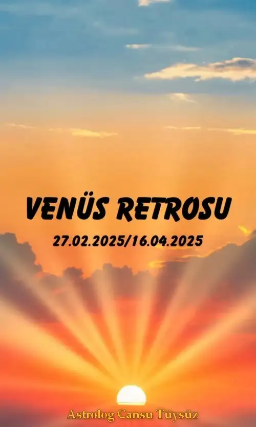 ven ret (1).webp