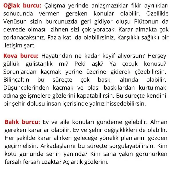 ven ret 10 (5).webp
