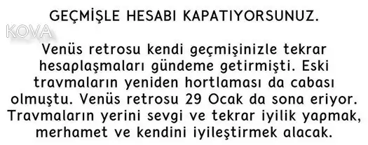 ven ret (12).webp