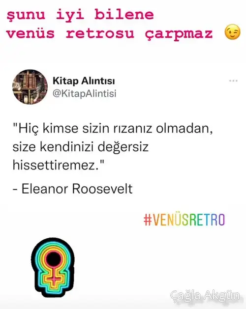 ven ret 29.webp