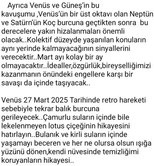 ven ret (4).webp