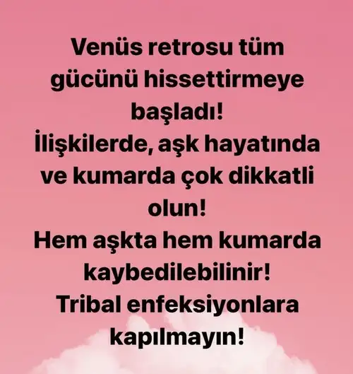 ven ret0 (1).webp