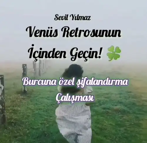 ven ret1 (1).jpg