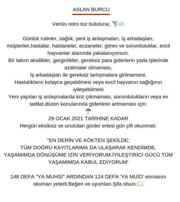 ven ret1 (7).jpg