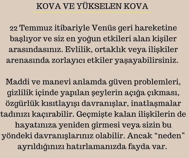 ven ret11 (22).webp