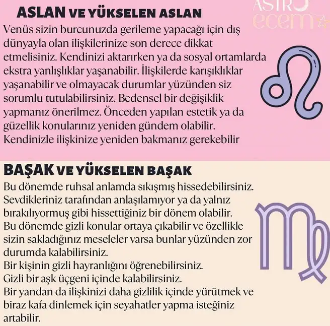 ven ret12 (4).webp