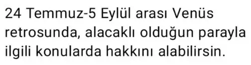 ven ret13 (4).webp