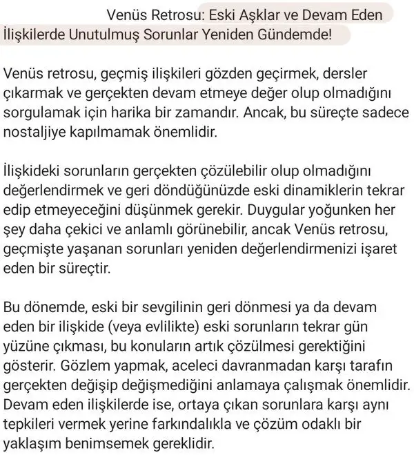 ven ret13 (4).webp