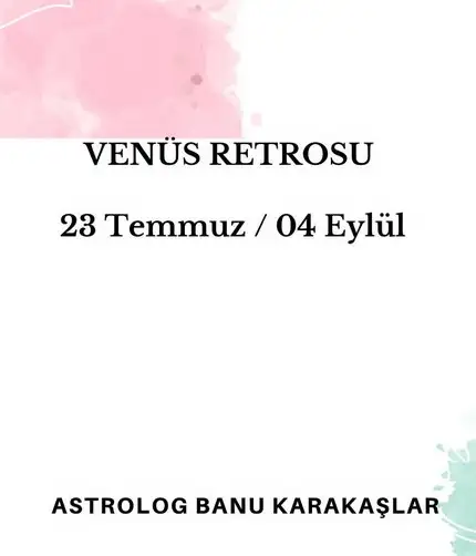 ven ret14 (1).webp