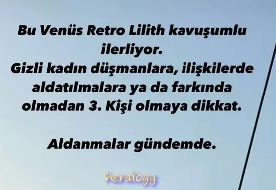ven ret14.webp