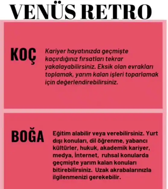 ven ret15 (1).webp