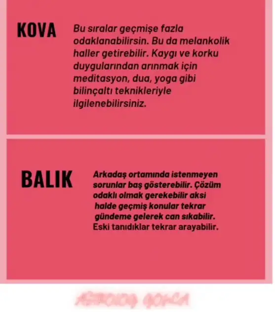 ven ret15 (6).webp