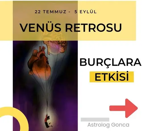 ven ret16 (1).webp