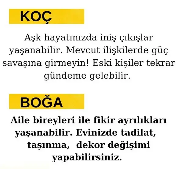 ven ret16 (2).webp