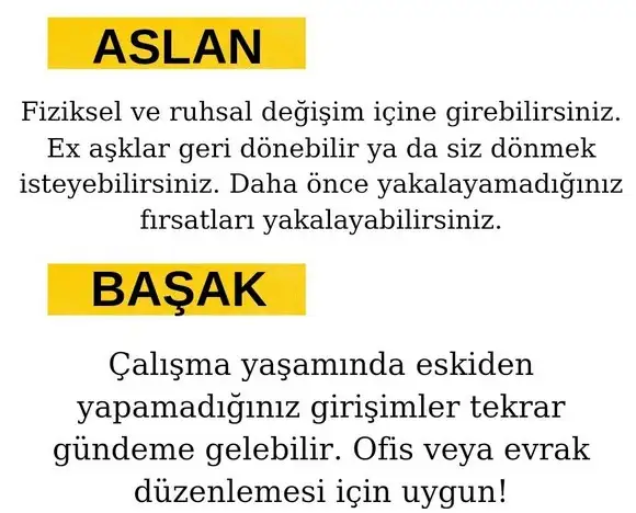 ven ret16 (4).webp