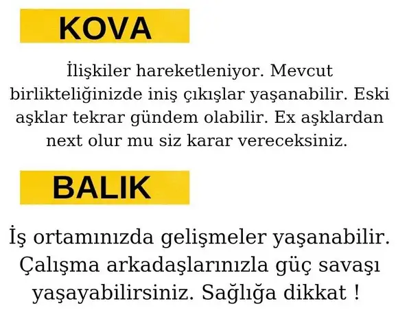 ven ret16 (7).webp