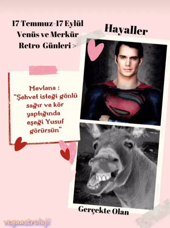 ven ret2 (1).webp