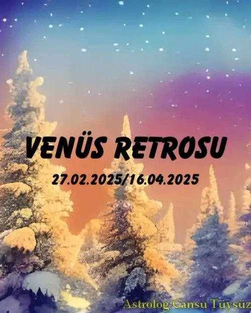 ven ret2 (1).webp