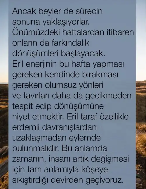 ven ret2 (10).webp