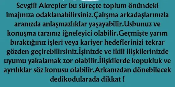 ven ret2 (11).webp
