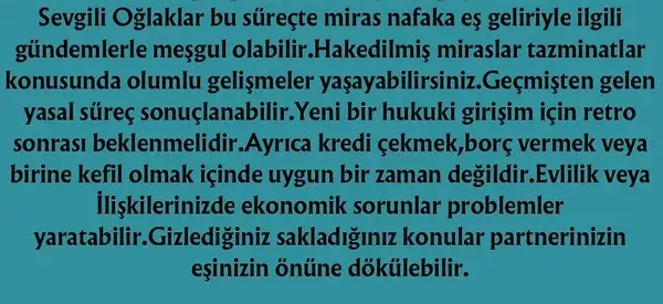 ven ret2 (14).webp