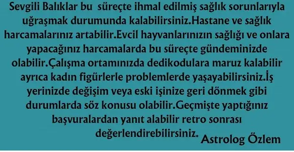 ven ret2 (16).webp