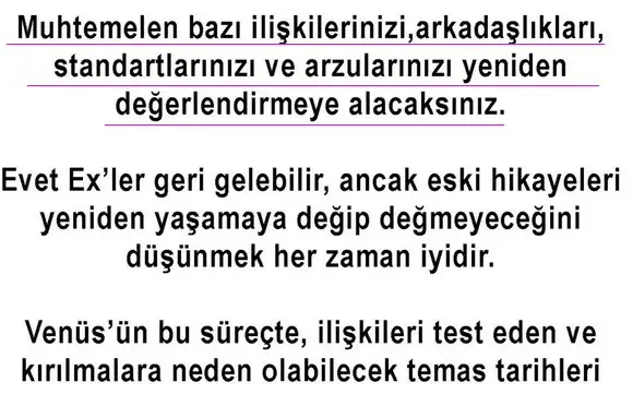 ven ret2 (2).webp