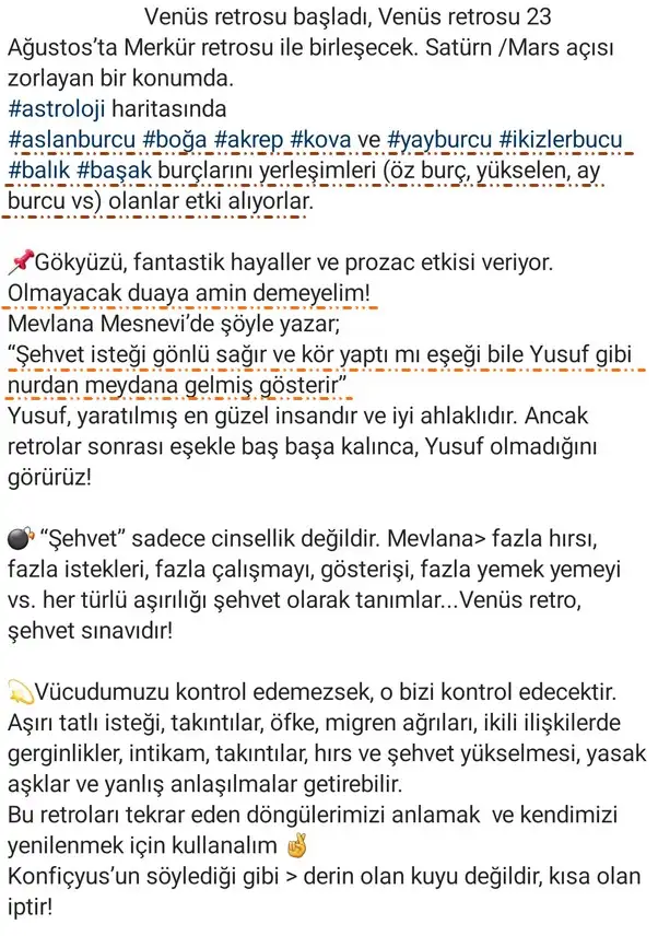 ven ret2 (2).webp