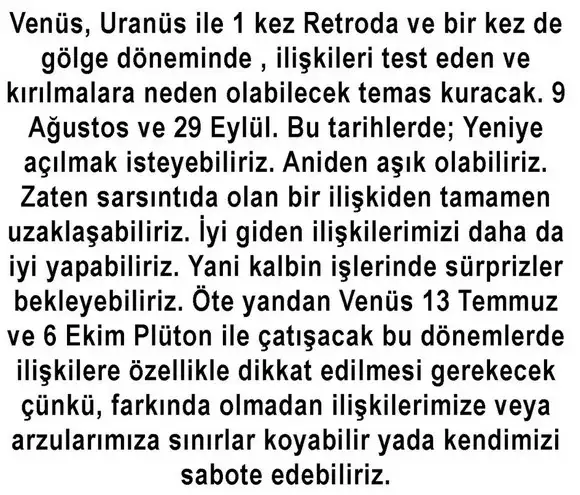 ven ret2 (3).webp