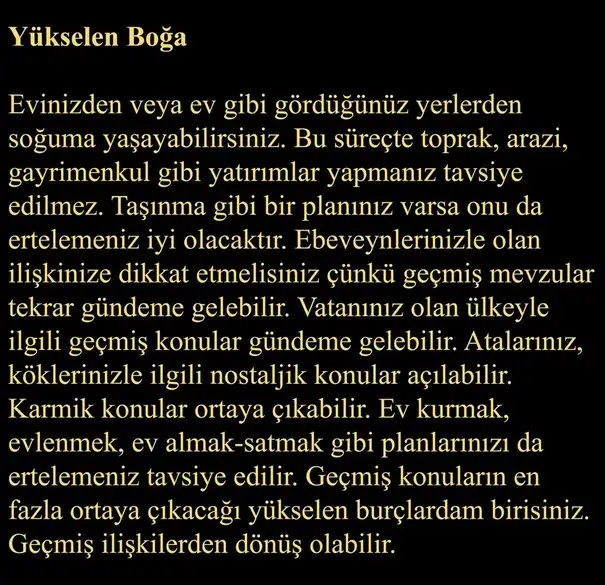 ven ret2 (3).webp