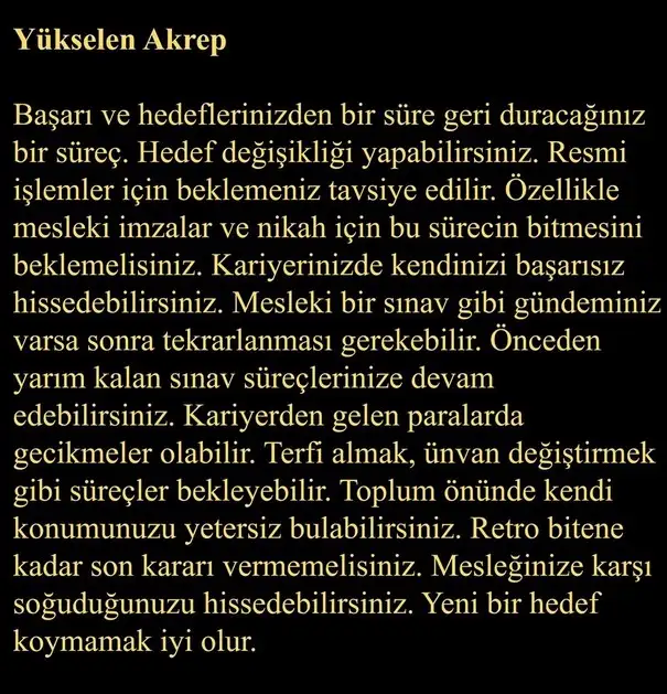 ven ret2 (9).webp