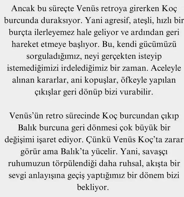 ven ret20 (6).webp