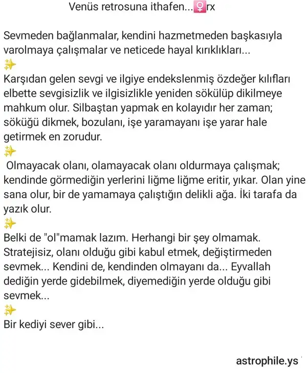 ven ret22.webp
