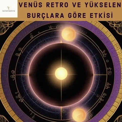 ven ret25 (1).webp