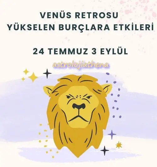 ven ret26 (1).webp