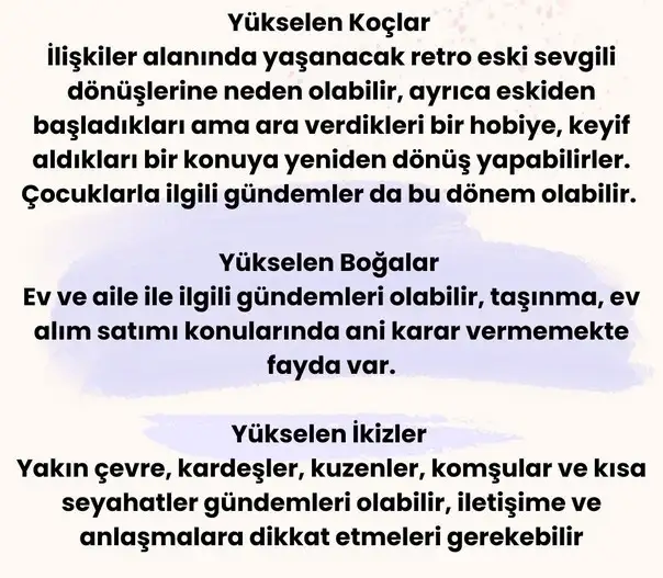 ven ret26 (3).webp